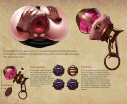 Page 7 of D vs N Ch. 2