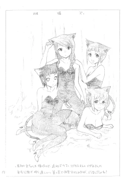 Page 17 of NINPHO MATE