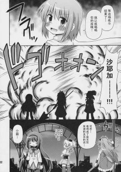 Page 21 of Daikaiten Homuspinner