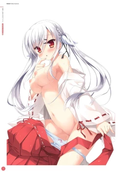 Page 37 of Hulotte Publicity Visual book