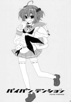 Page 2 of Paipan Tension