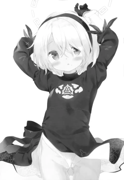 Page 3 of YoRHa 2B-gata Shoushizai Kitai no Toriatsukaidoki ni Okeru Chuui Jikou Tsuutasu