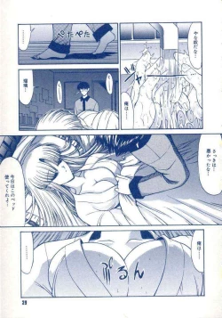 Page 28 of Teshigoto guidebook