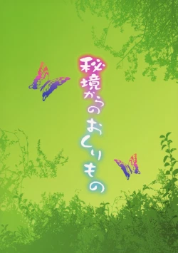 Page 2 of Hikyou kara no Okurimono