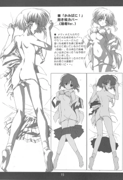 Page 14 of Toaru Hazukashi Gari ya no XXXX