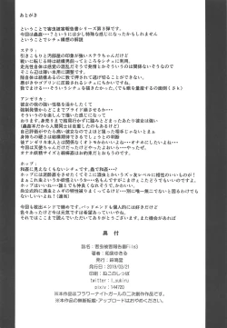 Page 29 of Gaichuu Higai Houkokusho File 3