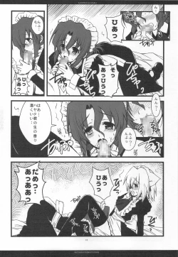 Page 11 of SLOE BERRY EX