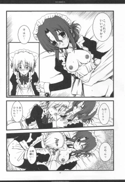 Page 17 of SLOE BERRY EX