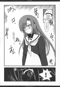 Page 25 of SLOE BERRY EX