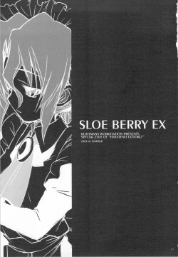 Page 2 of SLOE BERRY EX