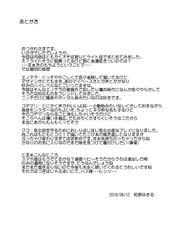 Page 28 of Gaichuu Higai Houkokusho File 2