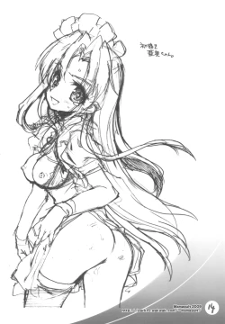 Page 13 of Tiger Machine 2