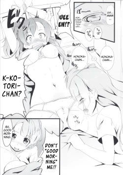 Page 5 of Torikago