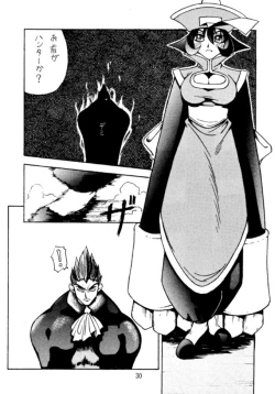 Page 29 of Kocher 6Dengana 3