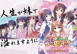 Download Onii-chan, Asa Made Zutto Gyu te Shite! Yoru Made Motto Ecchi Shite! Visual Guide Book