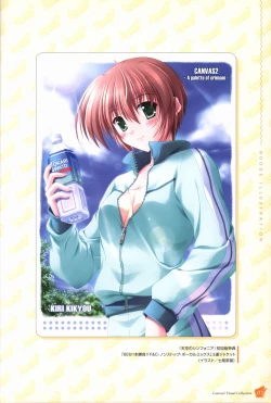 Page 8 of CANVAS2 Collection Art Book