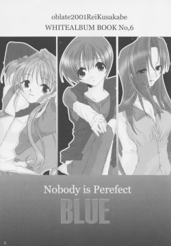 Page 2 of Nobody is Perfect