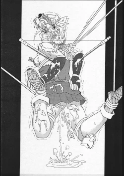 Page 18 of Nan Demo R Phoenix