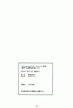 Page 17 of Sora Kara Koboreta Story