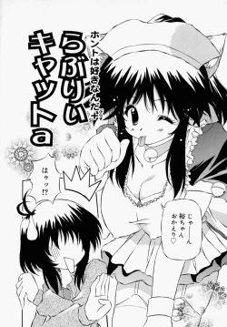 Page 100 of Honto wa Suki Nanda+