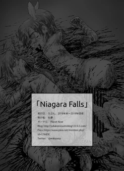 Page 14 of Niagara Falls