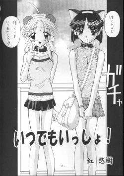 Page 17 of Tawamure 2