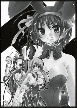 Page 28 of Shoushitsu Nyoron