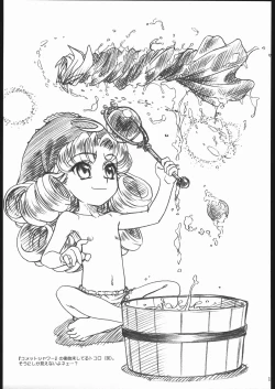 Page 16 of Little Princess