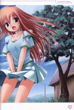 Page 12 of Shakkin Shimai＆Shakkin Shimai2 visual fanbook