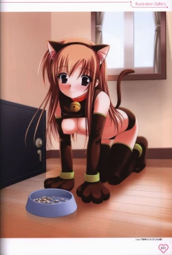 Page 42 of Shakkin Shimai＆Shakkin Shimai2 visual fanbook