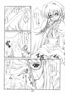 Page 29 of Type-G GMS