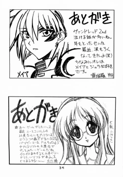 Page 34 of Type-G GMS