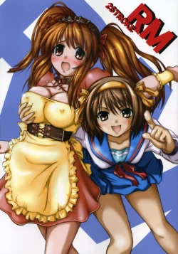 Page 1 of 2STROKE RM