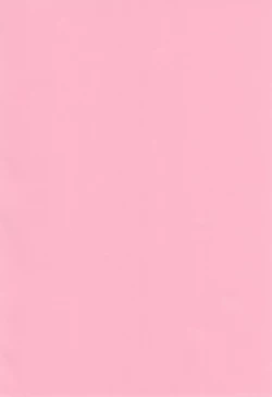 Page 2 of Koufukuron de Chucchucchu