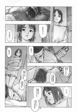 Page 12 of Houmatsujin