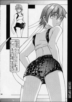 Page 18 of EVECOM CAPCOM