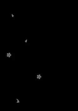 Page 29 of Akaneiro ni Somaru Wakazuma