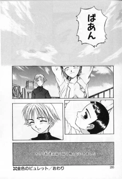 Page 26 of Vanishing P