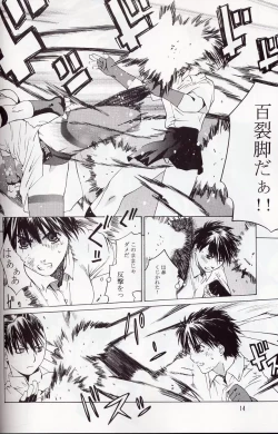 Page 13 of Tenimuhou 5