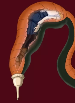 Page 38 of セルの丸呑み吸収