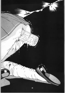 Page 43 of Shoujo Gashuu Soushuuhen