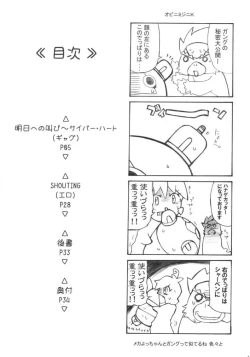 Page 3 of Bonn it is Dense