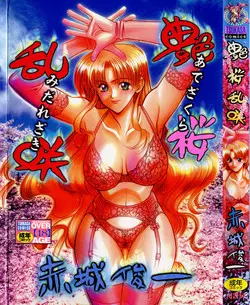 Download Ade Zakura Midare Zaki