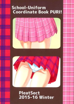 Page 26 of Seihuku Coodinate Hon Puri!