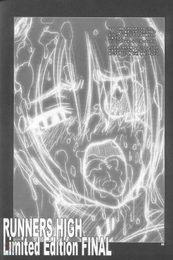 Page 3 of RUNNERS HIGH Limited Edition FINAL