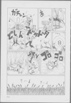 Page 217 of Roma Citta, Aperta