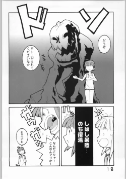 Page 17 of Cucurbita