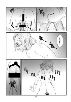 Page 14 of Pla-China