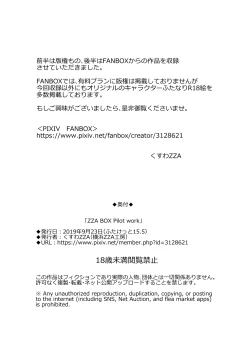 Page 22 of ZZA BOX Pilot Work