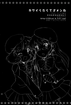 Page 25 of Kawaikunakute Gomen ne